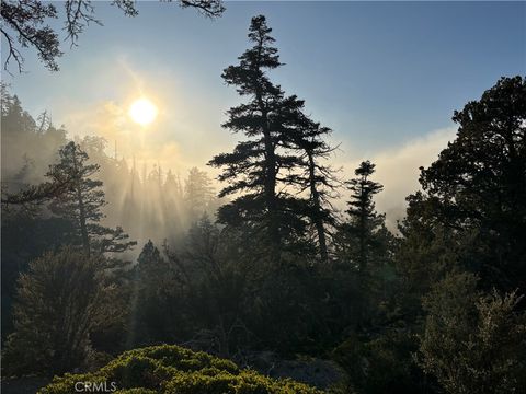 Photo of 0 Ironwood, Angelus Oaks, CA 92305 (MLS # IG26015942)