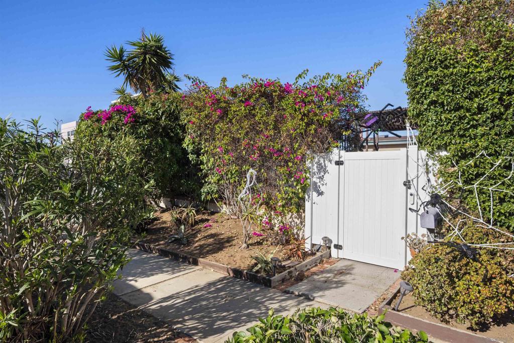 Ocean Beach - Residential