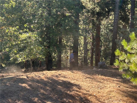 Photo of 2335 Deep Creek DR, Running Springs, CA 92382 (MLS # CV26203936)