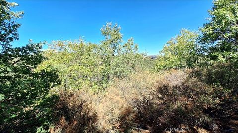 Photo of 0 Coulter, Cedar Glen, CA 92321 (MLS # IV26022342)