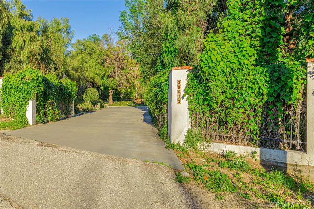 30642 Gilmour