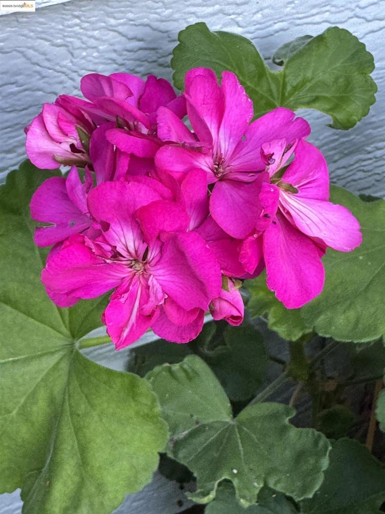 ANTIOCH - Residential