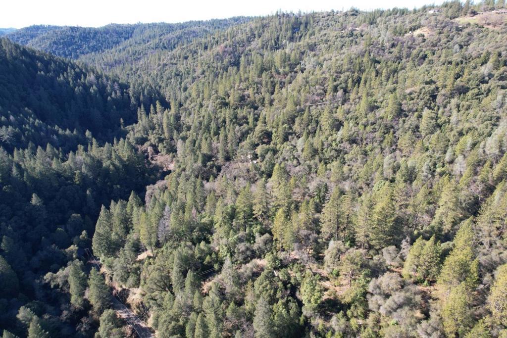 0 Sutter Creek Road