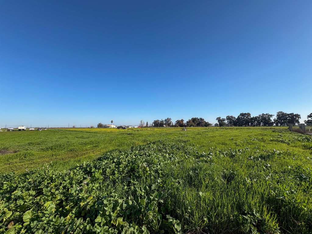 0 Learning Tree Lane