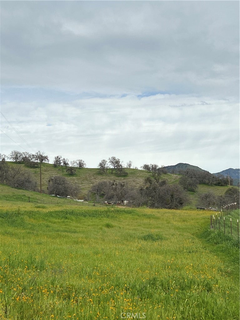 30284 Bear Mountain