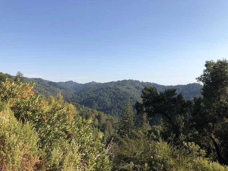 Imagine owning a piece of the Santa Cruz Mountains with meditative space to enjoy the sunrise and sunset. Beyond the gate and located at the end of a privately Maintained road lies Multiple small clearings with full sun and a trail down to a special meditation area; a peaceful refuge on this very secluded parcel. No improvements or reports. Backs up to open space. Just 2.5 miles/20 min. to the main road.