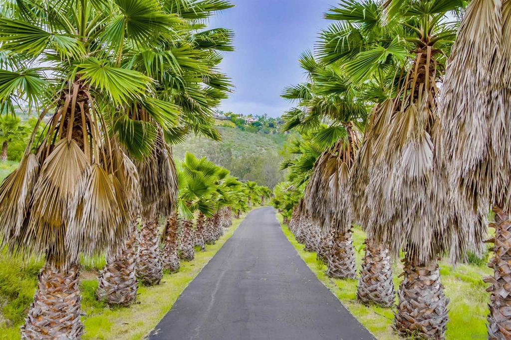 Olivenhain - Residential