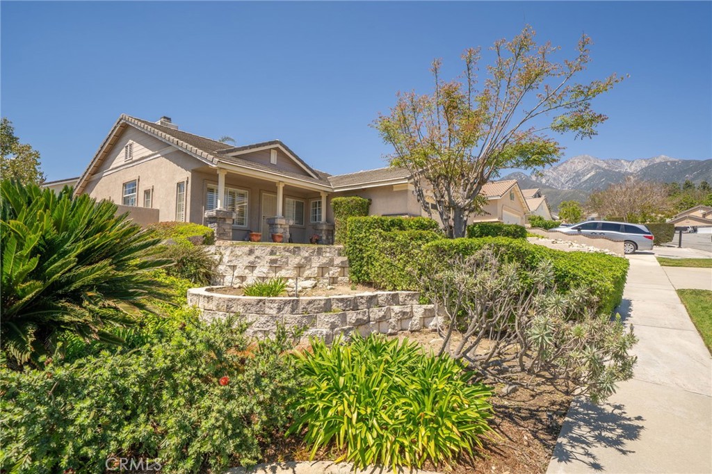 6060 San Felipe