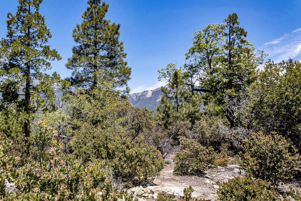 Not Applicable-1 - Residential