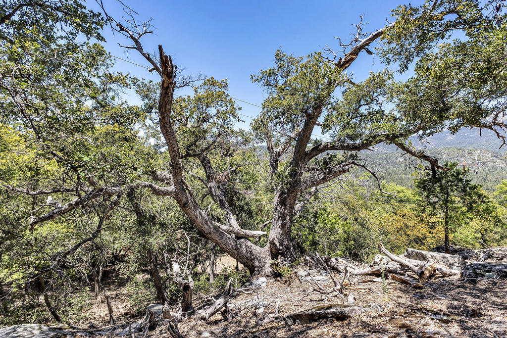 Not Applicable-1 - Residential