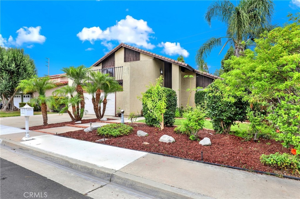 Award (Magnolia & Ellis) (AWAR) - Residential