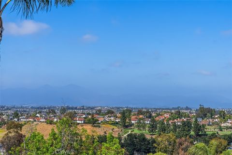 29206 Alfieri Street Laguna Niguel CA 92677