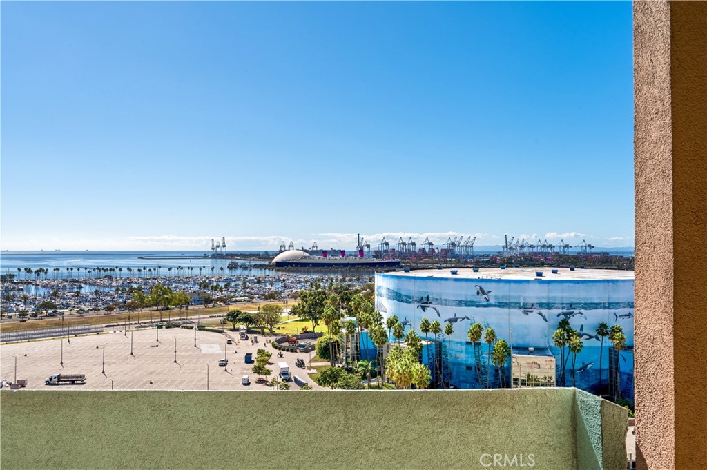 488 E Ocean Boulevard 1208