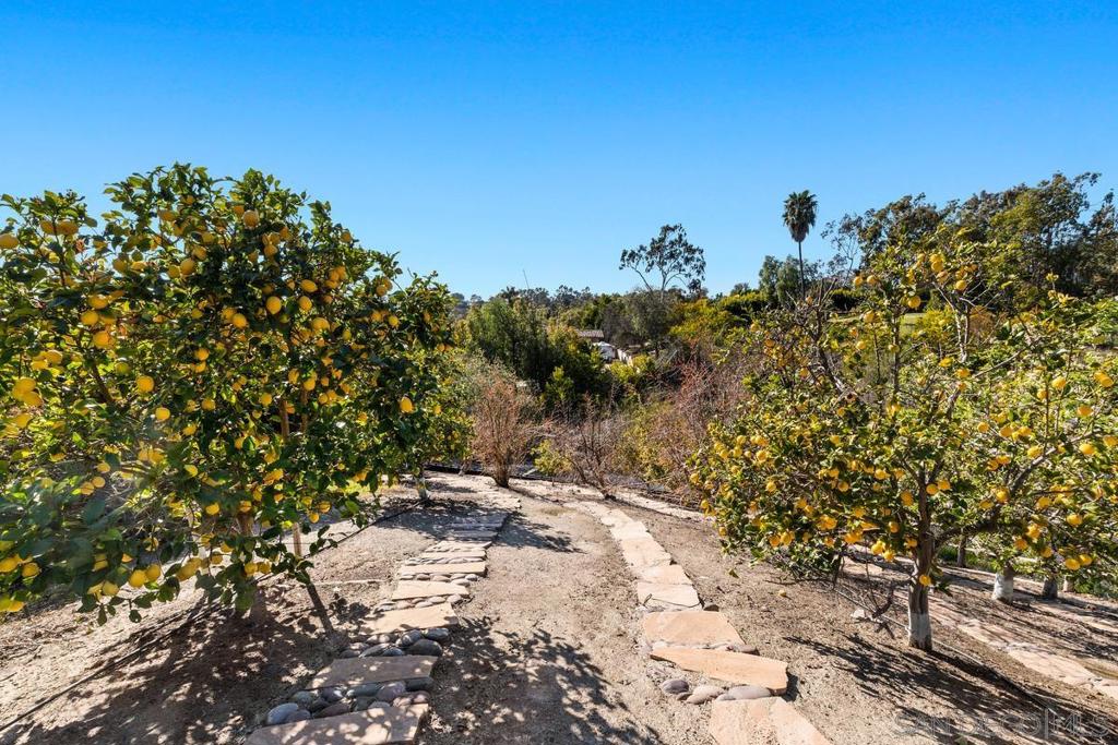 Rancho Santa Fe - Residential