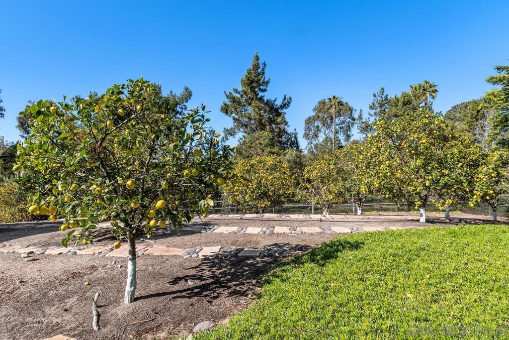 Rancho Santa Fe - Residential