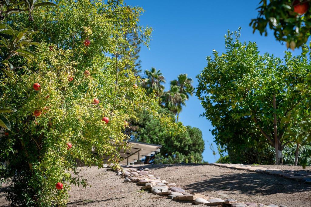 Rancho Santa Fe - Residential