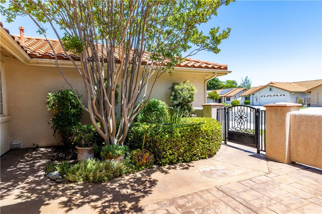 917 Saint Ann