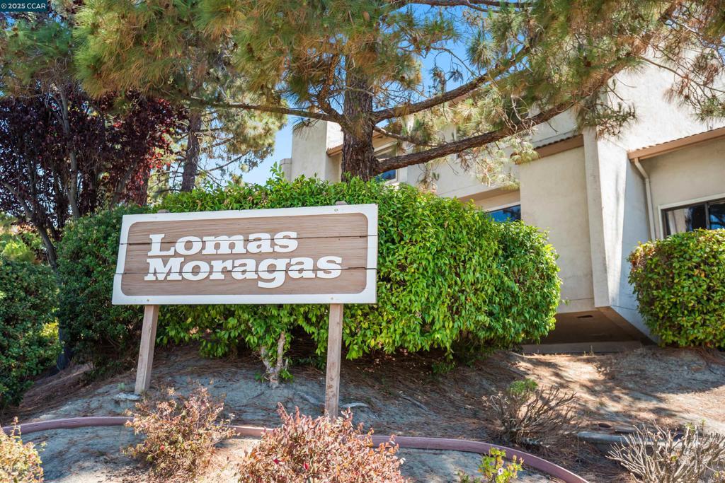 LOMAS MORAGA - Residential