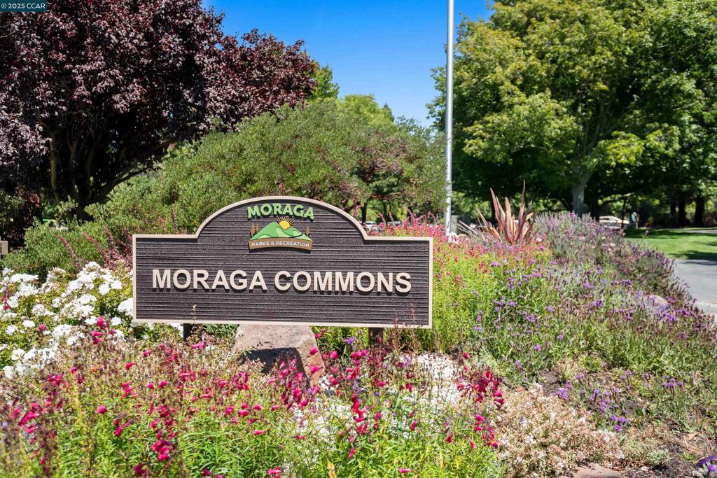 LOMAS MORAGA - Residential