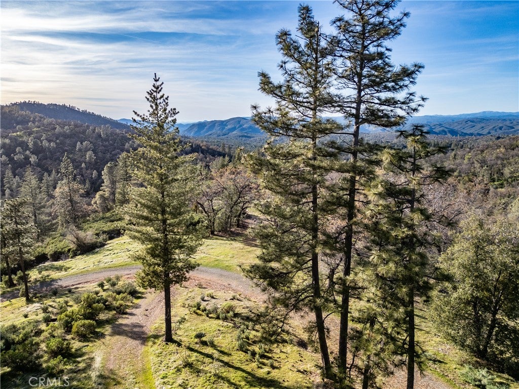 5314 Wilderness View Drive
