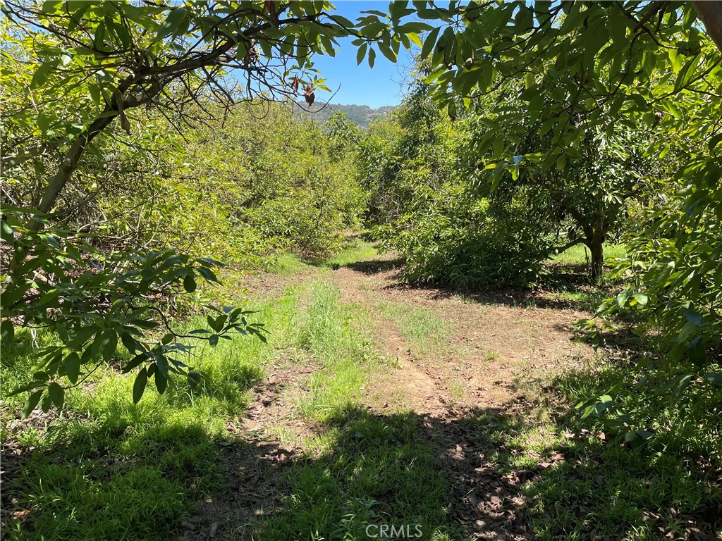 4 Los Gatos Road
