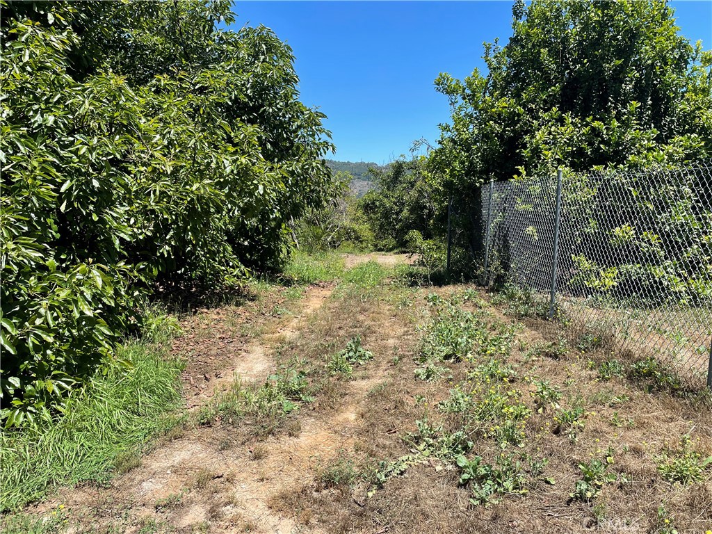 4 Los Gatos Road