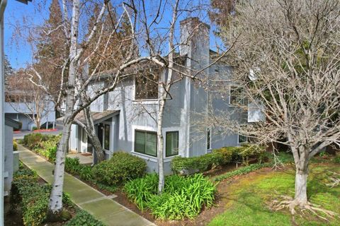 477 Quail Bush Court San Jose CA 95117