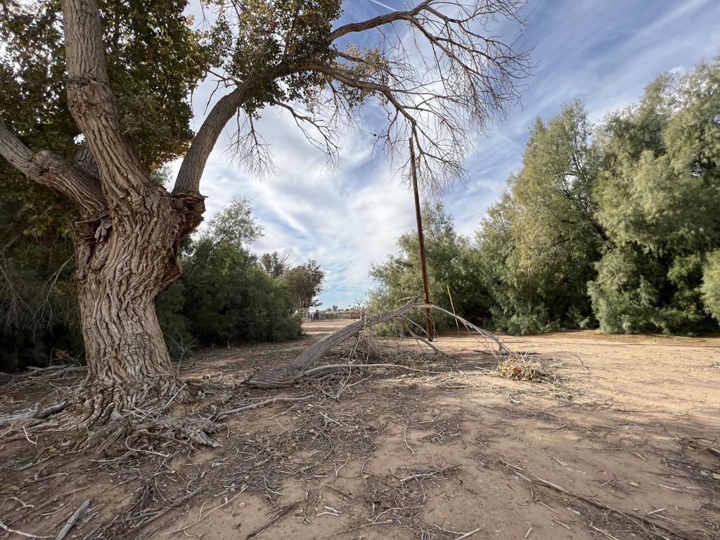 Not Applicable-1 - Land