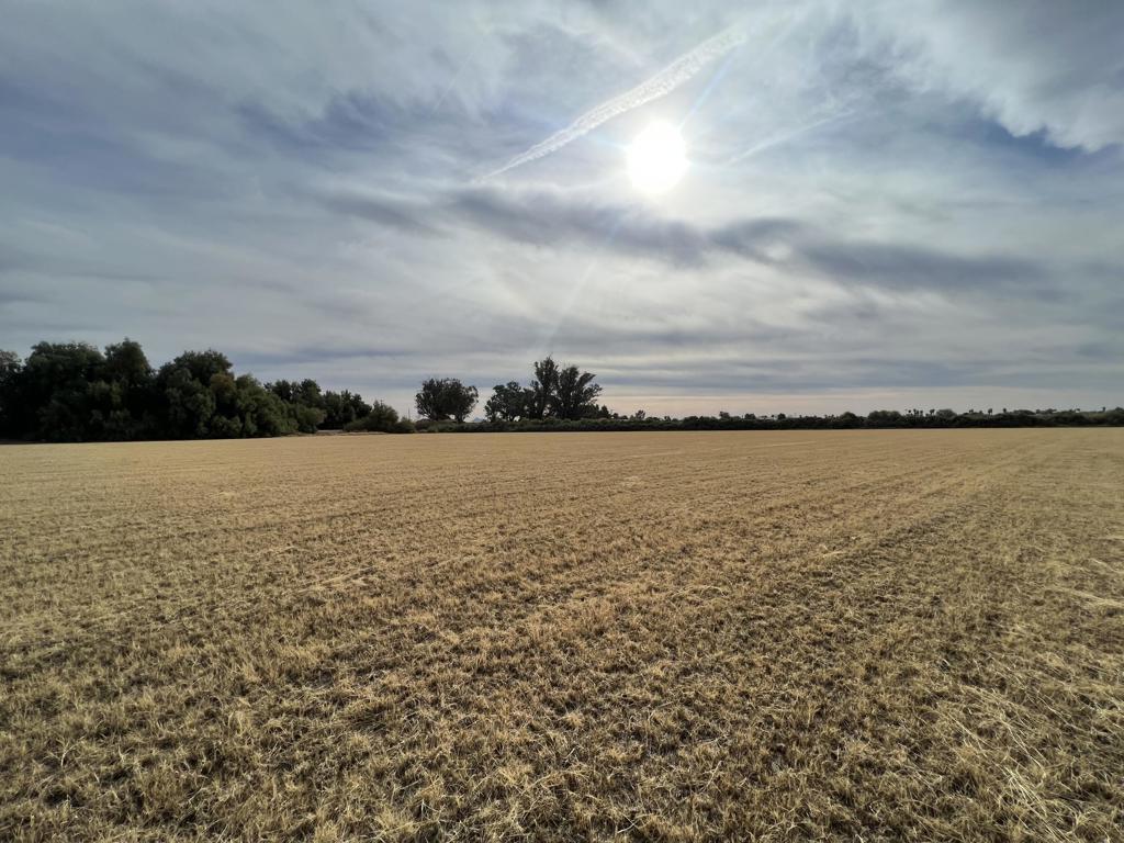 Not Applicable-1 - Land