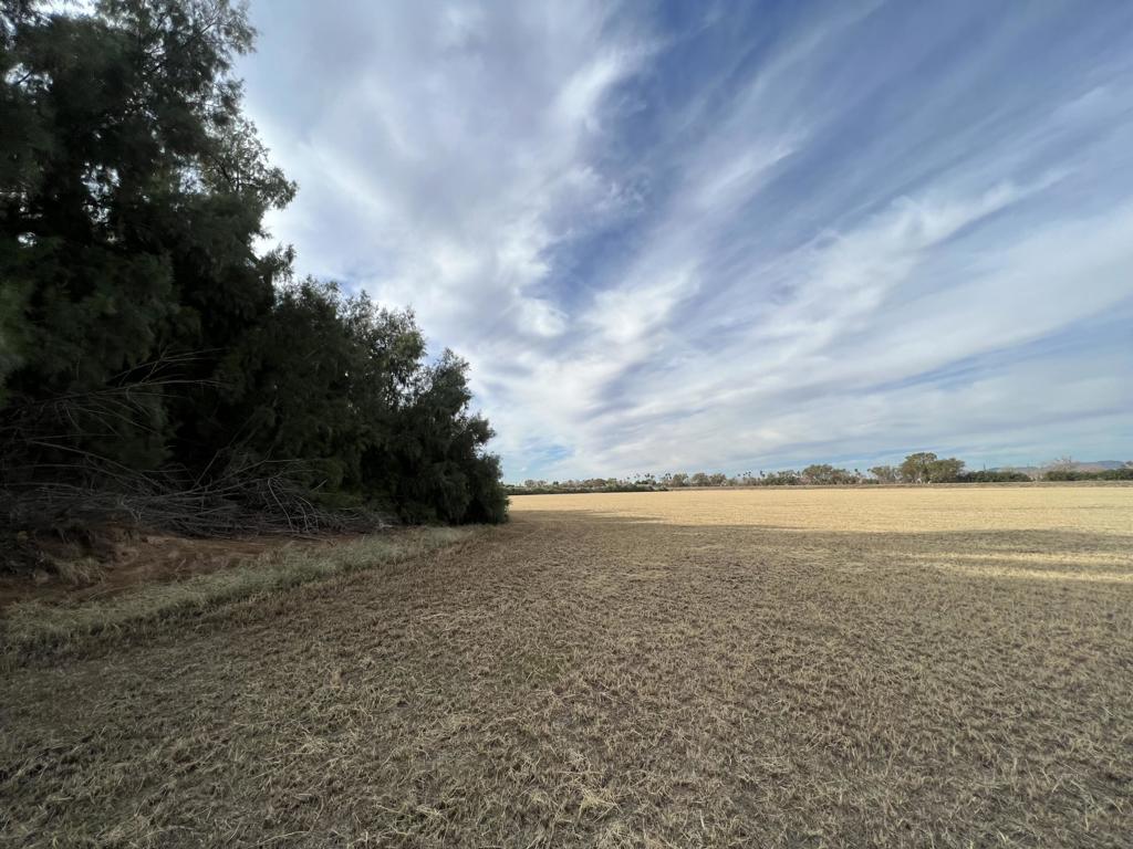 Not Applicable-1 - Land