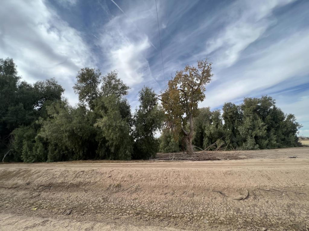 Not Applicable-1 - Land