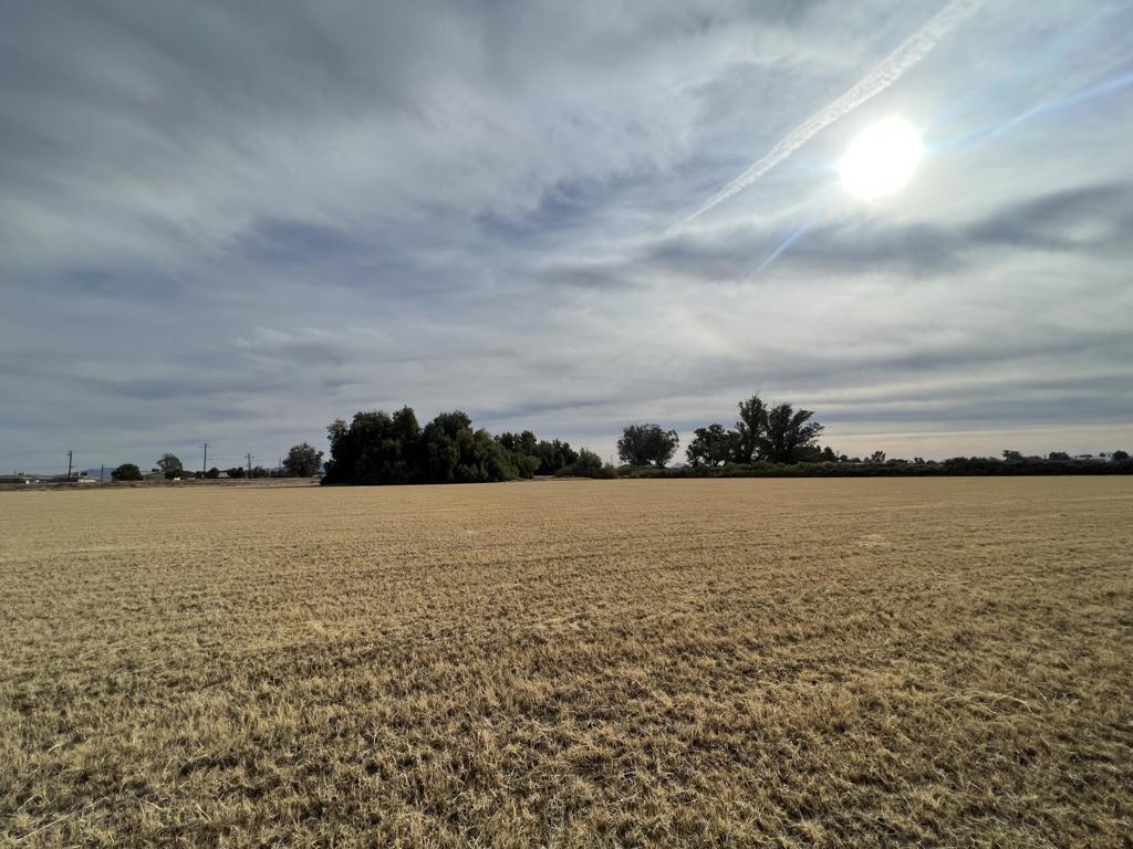 Not Applicable-1 - Land