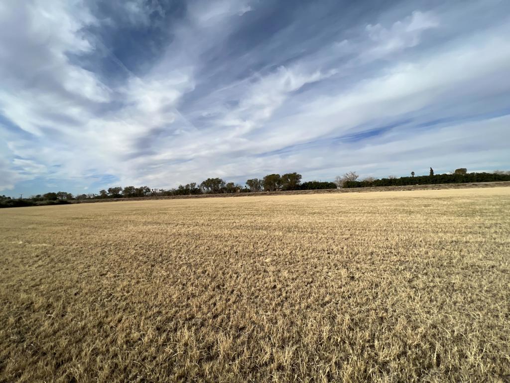 Not Applicable-1 - Land