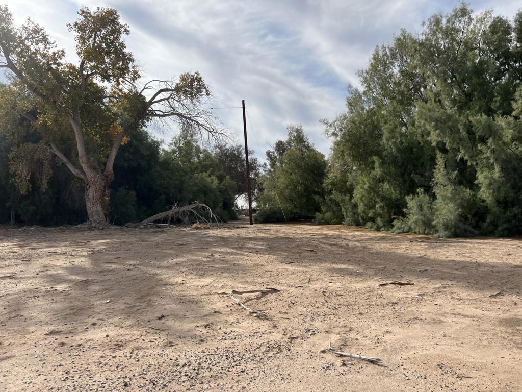 Not Applicable-1 - Land