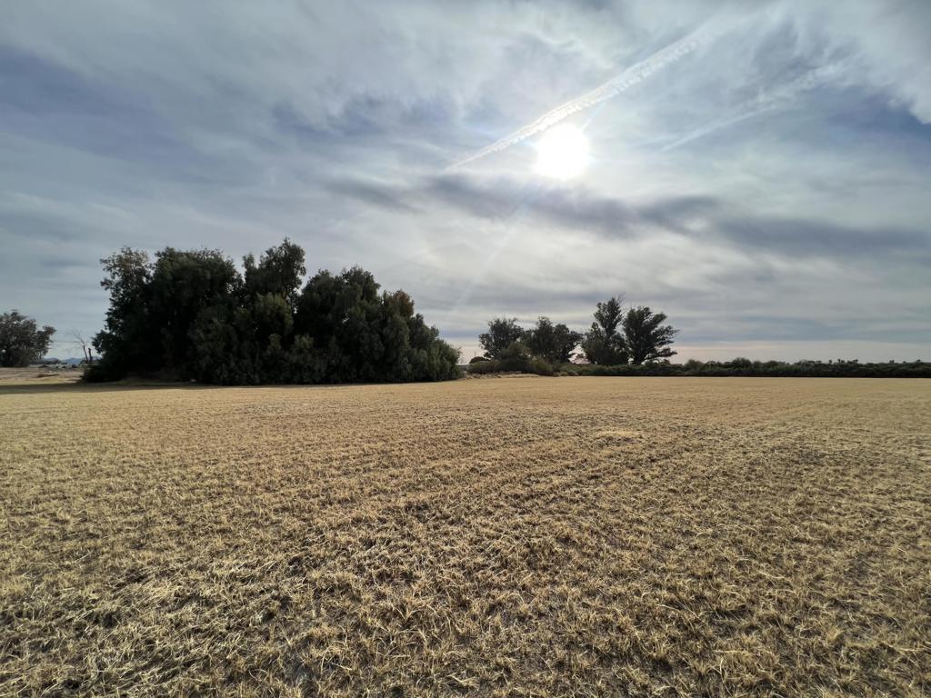 Not Applicable-1 - Land