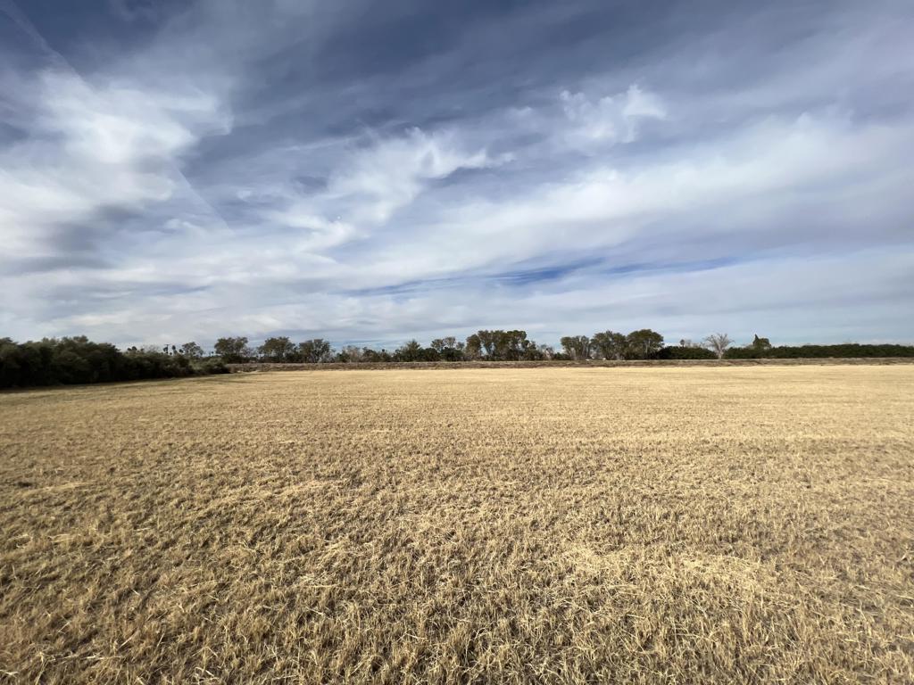 Not Applicable-1 - Land