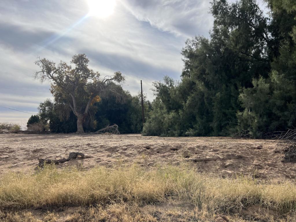 Not Applicable-1 - Land