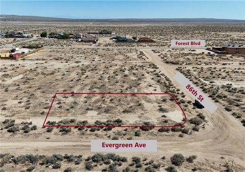Photo of 0 Corner 86th St & Evergreen Ave, California City, CA 93505 (MLS # IV25114001)