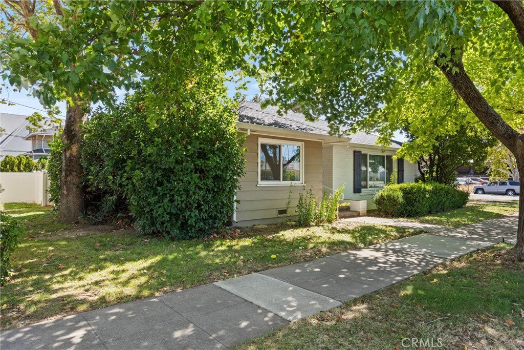 545 Cedar
