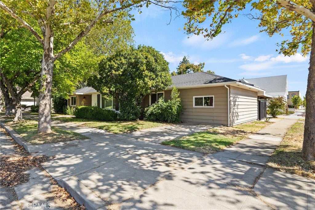 545 Cedar