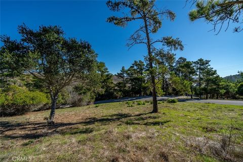 Tiny photo for 0 Pickwick Lane, Cambria, CA 93428 (MLS # PI25248847)
