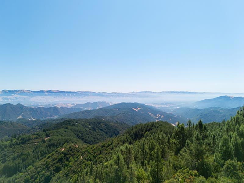 5 generations have owned this 40 Acre parcel since the 1800s. Experience this pinnacle of tranquil beauty perched high above the world. Pristine, undeveloped, natural environment situated at the summit of Mt. Madonna with unlimited possibilities. At 2,400 foot elevation, enjoy views of lush valleys, majestic mountain ranges, and the sparkling coastline in the distance. Off Grid, PGE next door, natural wildlife sanctuary, tempered climate, mature fruit trees, small fenced area, 8 water tanks with a total capacity of 20,000 gallons, rainwater catchment system, decking, 6 garden boxes, 5 level clearings, 4 locked gates, a dog kennel and more. Potential for agricultural endeavors, recreational pursuits, horses, and spectacular stargazing. Approx. 30 min to: Gilroy, Morgan Hill, Watsonville, just a short jaunt to San Jose, and a scenic drive to Santa Cruz and Monterey.