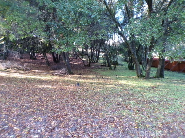 Almost completely flat, tree studded buildable lot in a good neighborhood, close to shopping, fine dinning, entertainment, wine tasting tours, abundant wildlife, fishing, hiking, biking, swimming, kayaking, sailing, boating, water sport of all kinds, and just a short drive to Buckingham Golf and Country Club! Life is great when you live in the Riv!