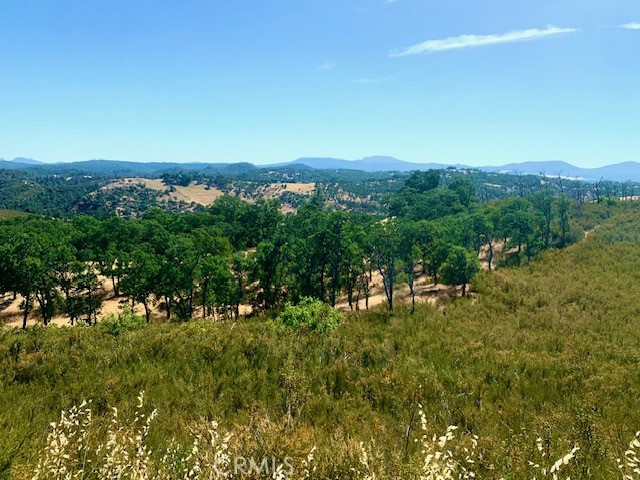 10455 Sky High Ridge Road