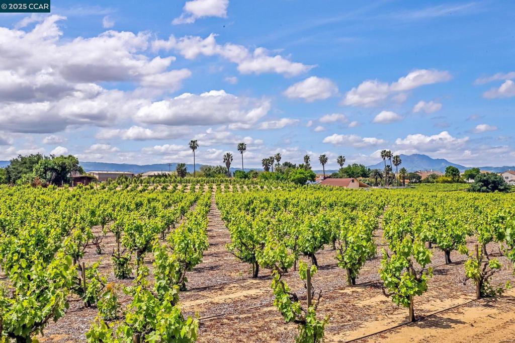 OAKLEY - Residential