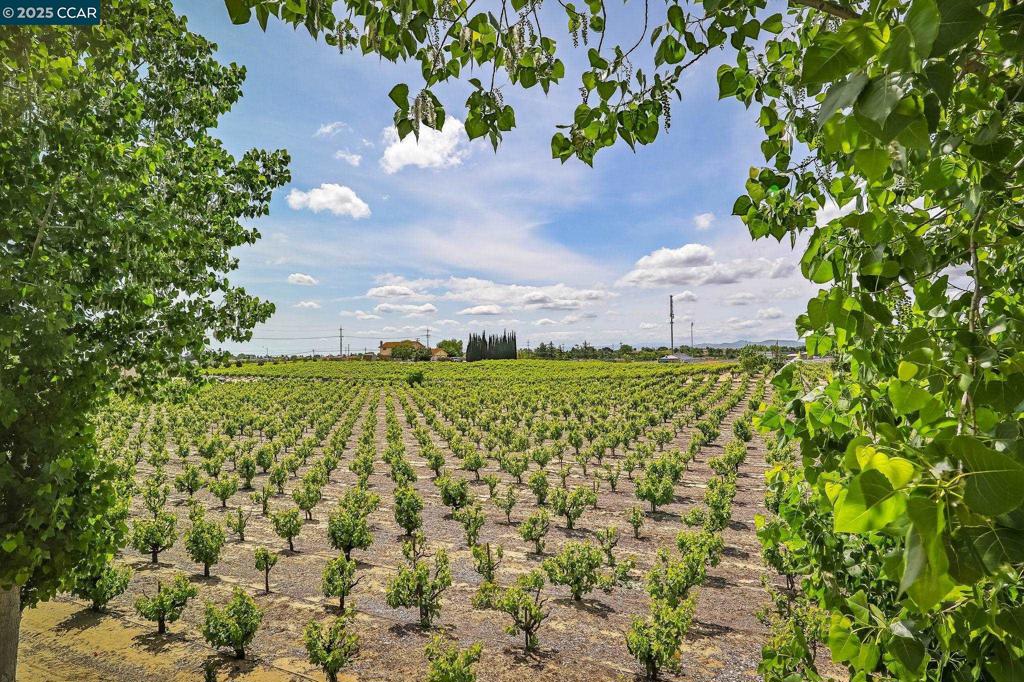 OAKLEY - Residential