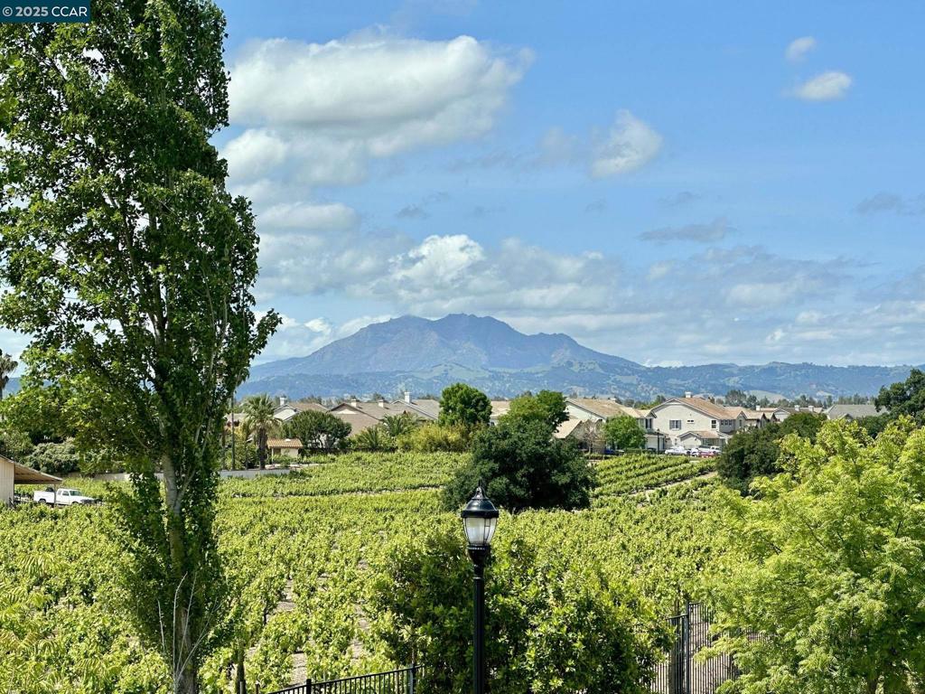 OAKLEY - Residential