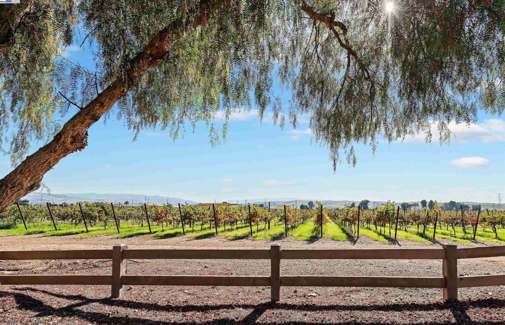 SOUTH LIVERMORE - Residential