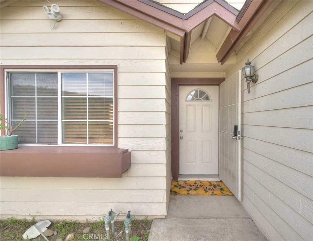 14319 Weeping Willow Lane