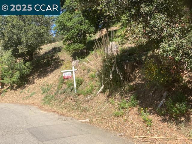 NEW PRICE REDUCTION. You must see this beautiful up-slope property in the spectacular, wooded Shepherd Canyon of the Montclair district. Offering a dramatic building site with view potential, this property feels like Lake Tahoe with all the amenities and conveniences of living in the Bay Area. And what a location! It's just a short ride down hill to shopping and dining in the quaint Montclair Village. Just up the canyon is the luxurious Hills Swim and Tennis Club. And for unbeatable hiking, biking and picnicking it's only minutes to an amazing array of incredible local and regional parks, including Shepherd Canyon, Redwood, Sibley, Huckleberry, Joaquin Miller, Chabot and more. Freeway access and transportation? Highway 13 is just down the hill with connections to 24 and 580. And it's just a short drive to Berkeley's Gourmet Ghetto, concerts at Oakland's Fox and Paramount theaters, golf at the Lake Chabot, Sequoyah, Tilden, and Redwood Canyon courses and much more. Come out and see it today.